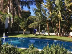 a swimming pool with two chairs and palm trees at La Huerta in Tacoronte