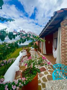 a patio with potted plants and flowers at El Encanto Posada & Spa in Sabana Grande