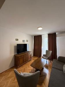 a living room with a couch and a television at ZoViTe apartment in Topla