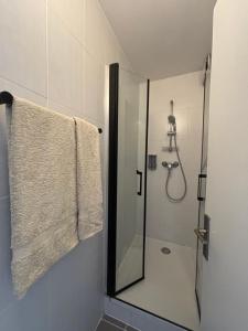 a bathroom with a shower with a mirror and a towel at La nuit calme in Annemasse