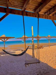a hammock on a beach with a view of the ocean at Sina life camp in Nuweiba +6 photos