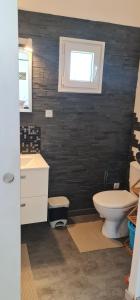 a bathroom with a toilet and a sink and a window at Beau logement avec terrasse, jacuzzi et terrain de pétanque privatif à 5 minutes de la plage in Audenge