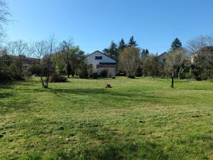 a dog sitting in the middle of a field at logement tranquille avec jardin in Saint-Germain-et-Mons