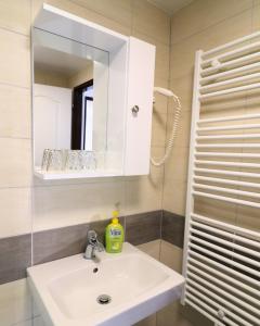 a bathroom with a white sink and a mirror at Penzion Hejtman in Chlum u Třeboně +57 photos