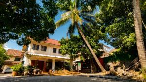 a house with a palm tree in front of it at MI CASA Luang Prabang in Luang Prabang