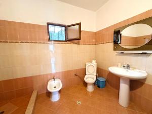 a bathroom with a sink and a toilet and a mirror at Cozy Village Guesthouse in Delvinë +37 photos