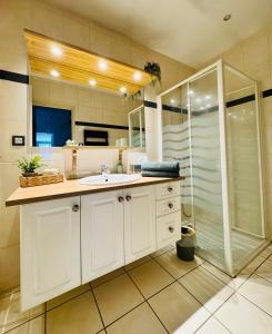 a bathroom with a sink and a shower at Les Terrasses du Vercors in Beauregard-Baret
