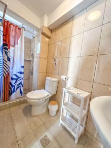 a bathroom with a toilet and a sink and a shower at Mitso's Talo in Samos