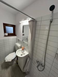 a bathroom with a toilet and a sink and a shower at Casa Todor Fundata in Fundăţica +27 photos