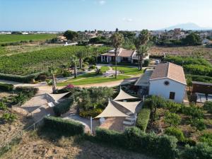 an aerial view of a house in a vineyard at BdL Open Space in Marsala