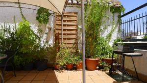 a patio with potted plants and a wooden ladder at Coqueto estudio con terraza in La Zubia