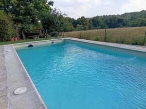 a blue swimming pool with a frisbee in it at O Caliu das Airas in León
