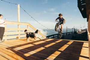 a person riding a bike with a dog on a bridge at Speiereckhütte in Mauterndorf