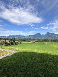 a large green field with mountains in the background at CapoBnB, Montainview, Terrace in Aeschi bei Spiez