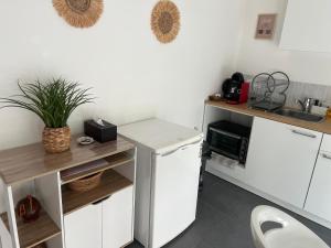 a small kitchen with a sink and a microwave at Studio Leman Ciel avec parking privé gratuit in Gex +2 photos