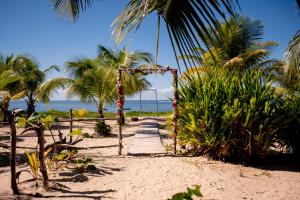 a path on a beach with palm trees and the ocean at Pousada Templo Aláfia in Vera Cruz de Itaparica