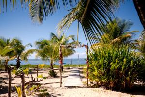 a pathway on a beach with palm trees and the ocean at Pousada Templo Aláfia in Vera Cruz de Itaparica