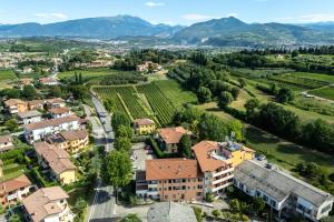 an aerial view of a town with a vineyard at Hotel La Carica in Pastrengo