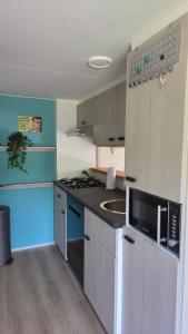 a kitchen with a stove and a microwave at Vakantiehuis Topaz in Bruinisse
