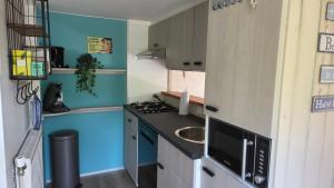 a small kitchen with a sink and a microwave at Vakantiehuis Topaz in Bruinisse