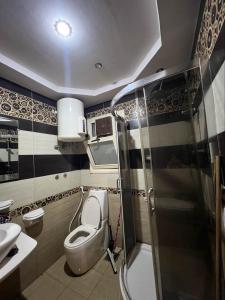 a small bathroom with a toilet and a shower at Kendaw home in Hihyā +4 photos
