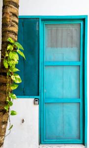 a blue door on a building with a tree at Ca Nikte Cabañas in El Cuyo