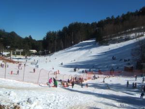 a group of people skiing down a snow covered slope at Montanara Home in Camigliatello Silano