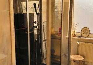 a glass door with a shower in a room at Harzer Domschatz-Auszeit Monteure - Einzelbetten in Halberstadt +10 photos