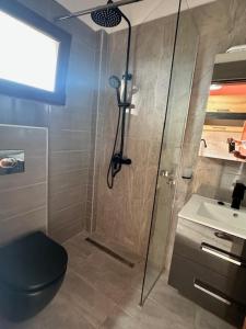 a bathroom with a shower and a toilet and a sink at House Nativa in Mola Kalyva
