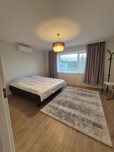 a bedroom with a bed and a rug and a window at Boose Apart in Kobela