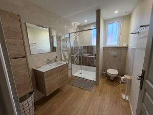 a bathroom with a shower and a sink and a toilet at Meublé de Tourisme Le Swing in Marsannay-la-Côte +24 photos