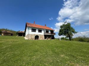 a house on top of a grassy field at Imanje Kovačević in Gornji Milanovac