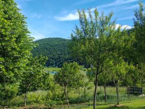 a group of trees with a mountain in the background at Apartmani Mila in Brlog