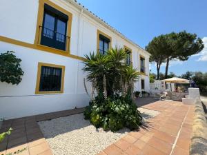 a house with a palm tree in front of it at Cortijo Cenascuras in Priego de Córdoba