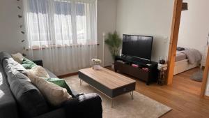 a living room with a couch and a flat screen tv at Haus Siegfried in Churwalden