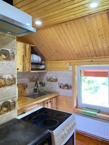 a kitchen with a stove and a sink in a cabin at TaVa House 2 in Yaremche