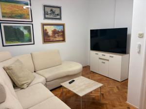 a living room with a couch and a flat screen tv at Apartment 45 in Crikvenica
