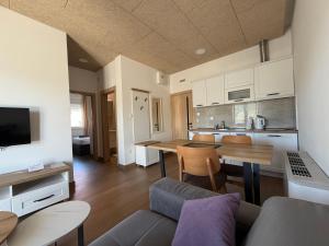 a kitchen and living room with a couch and a table at Apartments Memories EV ch 11kW available in Trebinje