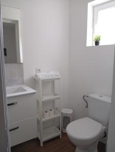 a white bathroom with a toilet and a sink at Appartement Cévenol in Le Vigan
