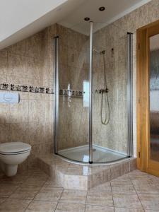 a bathroom with a shower and a toilet at Dům Stašov in Stašov +70 photos