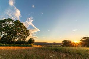 a field with a tree and the sun in the sky at Yurt Ash tree in Saint Briavels +6 photos