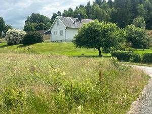 ein weißes Haus auf einem Feld mit einem Baum in der Unterkunft Svarteborg Dingle in Dingle
