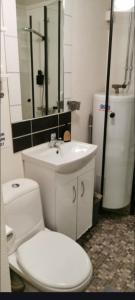 a bathroom with a white toilet and a sink at Nice appartment in city center Gol,free Wifi and electric in Gol +22 photos