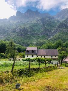 a house in a field with mountains in the background at Ardi Selimaj in Valbonë