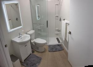 a bathroom with a toilet sink and a shower at Dans luxury suite in Winnipeg