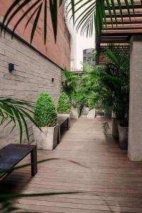 a walkway with potted plants in a building at TBG Studios in Curitiba
