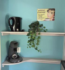 a shelf with a plant and a book on it at Vakantiehuis Topaz in Bruinisse +59 photos