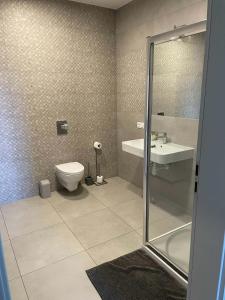 a bathroom with a toilet and a sink and a shower at WidziMisie Summer Apartament in Dominice +8 photos
