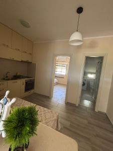 a kitchen with a table and a dining room at Apartman Andjela in Kavač
