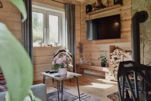a living room with a fireplace and a tv at Zdrojowe wzgórze in Rymanów-Zdrój